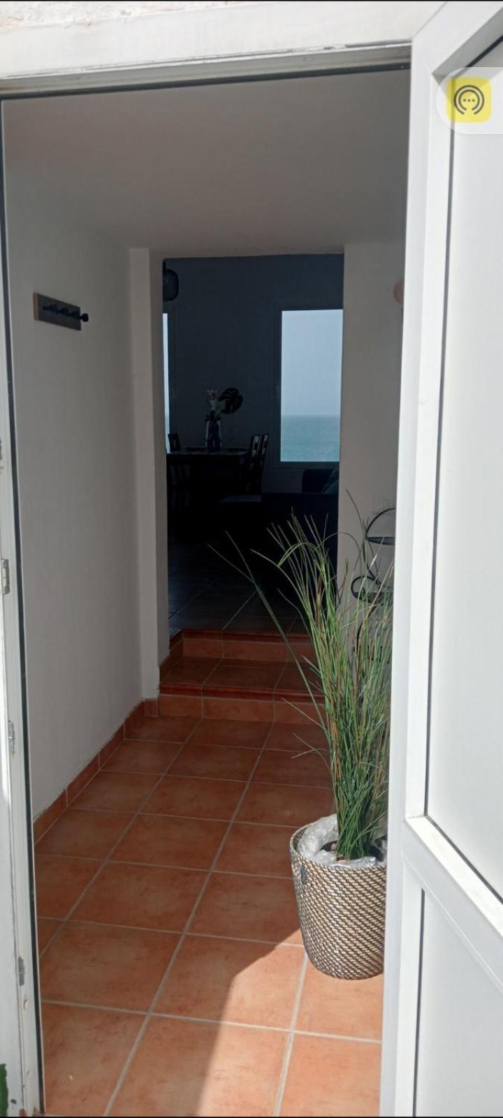 Апартаменты Piso Magico Junto Al Mar Con Gran Terraza Santa Maria de Guia de Gran Canaria Экстерьер фото